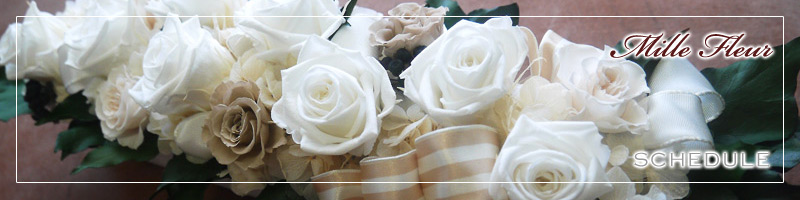 �X�P�W���[��