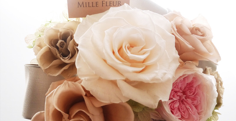 ����̃v���U�[�u�h�t�����[����